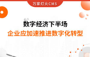 數(shù)字經(jīng)濟下半場，企業(yè)應(yīng)加速推進數(shù)字化轉(zhuǎn)型